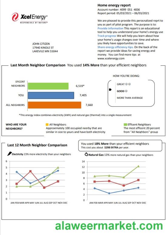 USA Minnesota Xcel Energy utility bill template in Word and PDF format (.doc and .pdf)